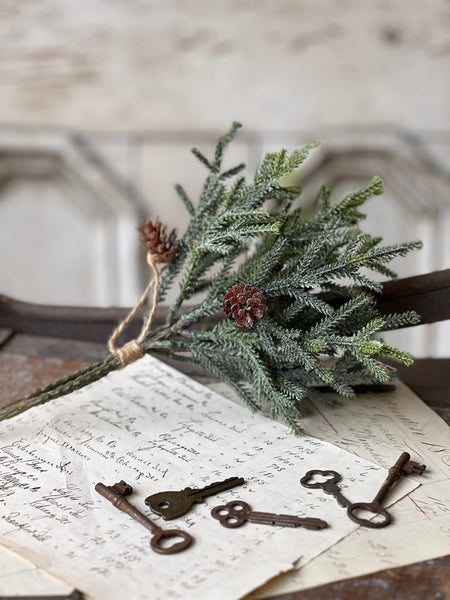 Wind Chill Juniper Bundle | 11.5" | CASE PACK + CLEAN UP SPECIAL!  From $1.50 - Last 156pcs!