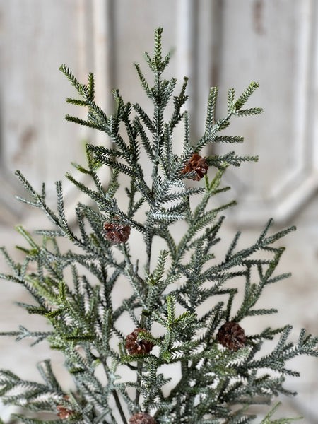 Wind Chill Juniper Spray | 25.5" | SOLD OUT