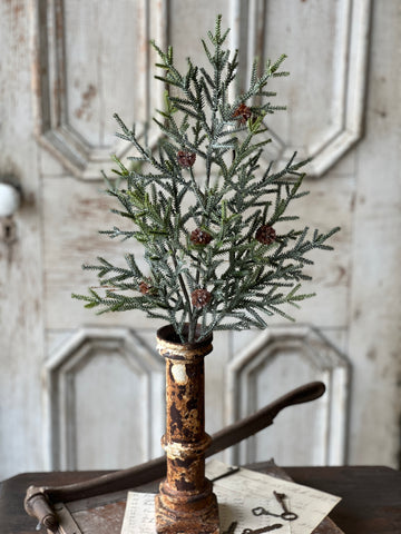 Wind Chill Juniper Spray | 25.5" | SOLD OUT