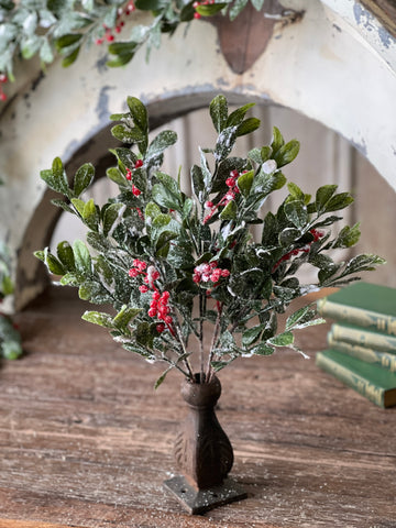 Holly Jolly Greens Bush | 18" | SOLD OUT