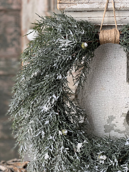 Winterpine Dream Hanging Wreath | 24"