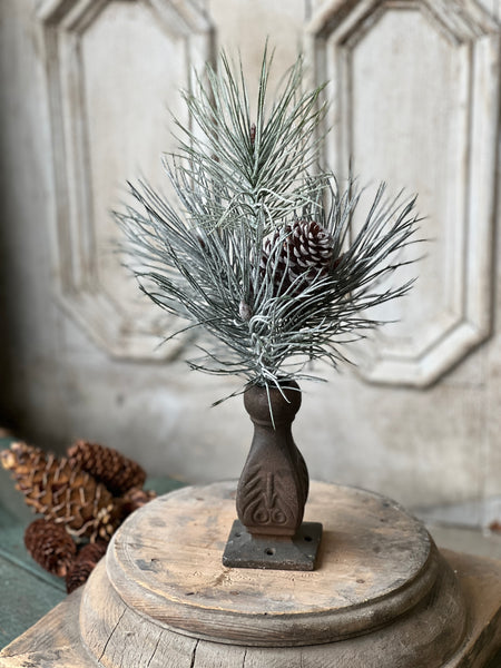 Frosted Emperor Pine Pick | 14"