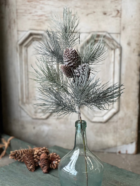 Frosted Emperor Pine Spray | 30"