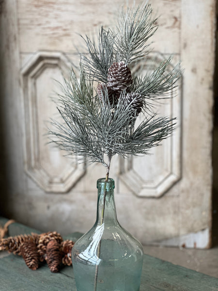 Frosted Emperor Pine Spray | 30"