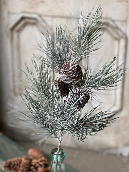 Frosted Emperor Pine Spray | 30"