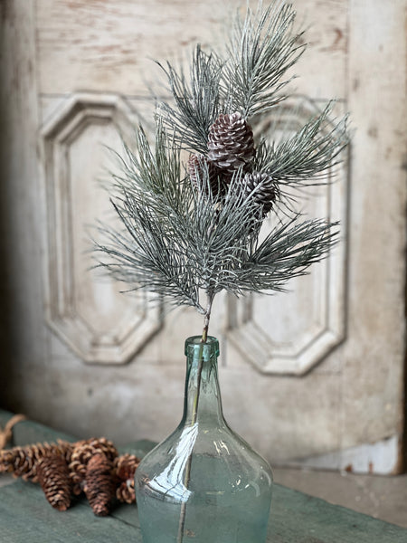 Frosted Emperor Pine Spray | 30"