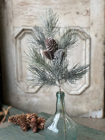 Frosted Emperor Pine Spray | 30"