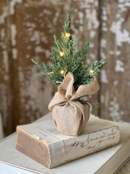 Starlit Cedar Tree (LED) | 12" | SOLD OUT