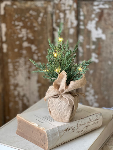 Starlit Cedar Tree (LED) | 12" | SOLD OUT