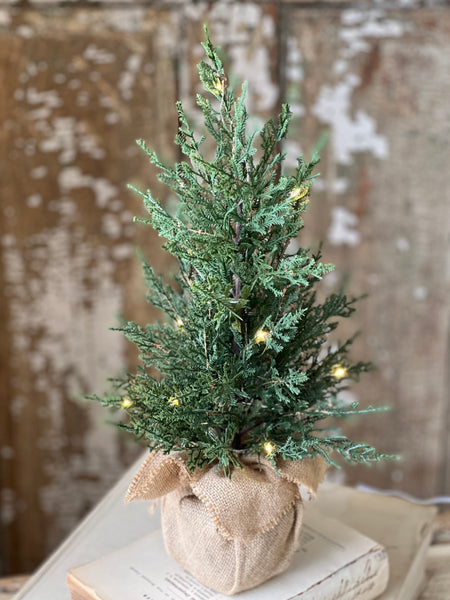 Starlit Cedar Tree (LED) | 18" | SOLD OUT