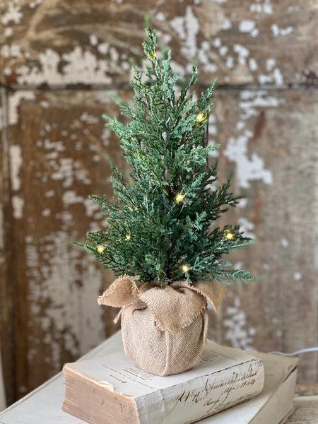 Starlit Cedar Tree (LED) | 18" | SOLD OUT