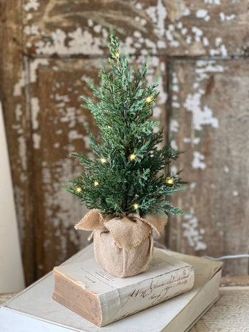 Starlit Cedar Tree (LED) | 18" | SOLD OUT