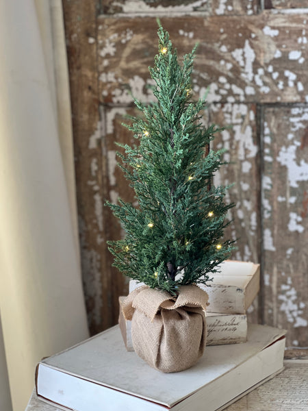 Starlit Cedar Tree (LED) | 24" | CLEAN UP SPECIAL!  From $10.95 - Last 40pcs!