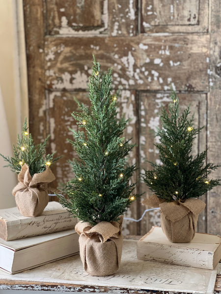 Starlit Cedar Tree (LED) | 24" | CLEAN UP SPECIAL!  From $10.95 - Last 40pcs!