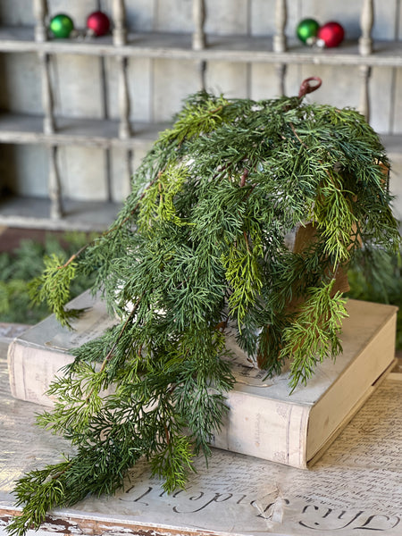 Verdant Cedar Hanging | 31" | SOLD OUT