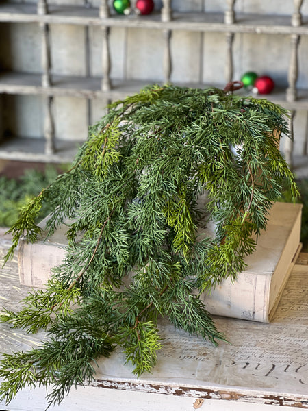 Verdant Cedar Hanging | 31" | SOLD OUT