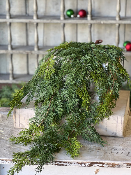 Verdant Cedar Hanging | 31" | SOLD OUT