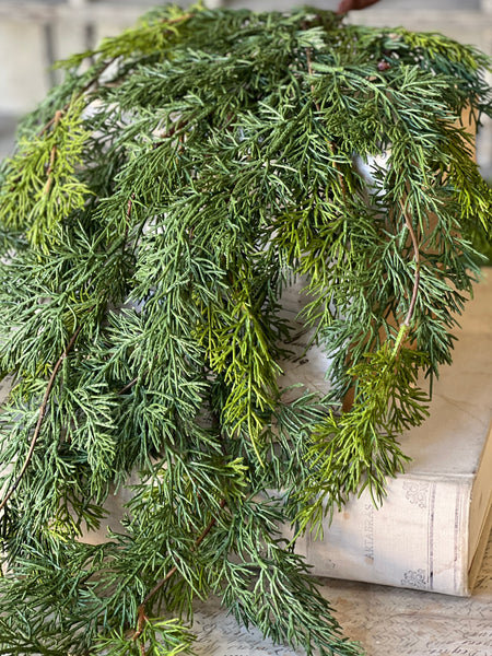 Verdant Cedar Hanging | 31" | SOLD OUT