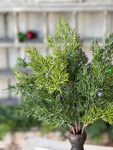 Verdant Cedar Bush | 17" | SOLD OUT