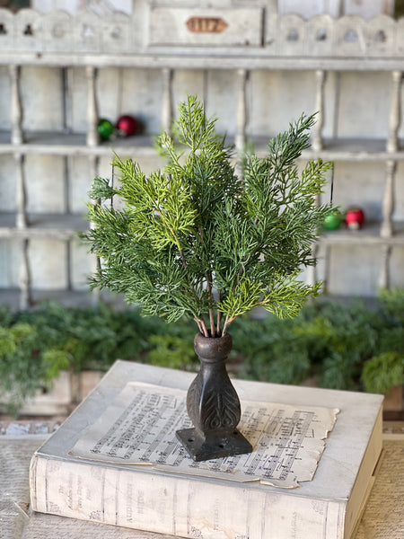 Verdant Cedar Bush | 17" | SOLD OUT