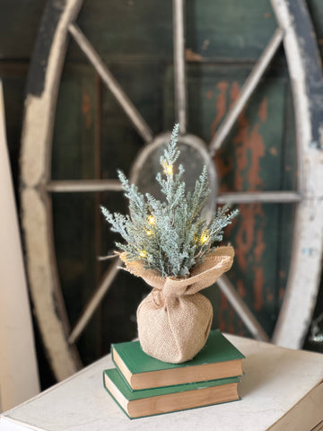 Celestial Cedar Tree w/ Lights | 12" | SOLD OUT