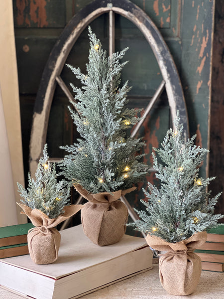 Celestial Cedar Tree w/ Lights | 18" | SOLD OUT