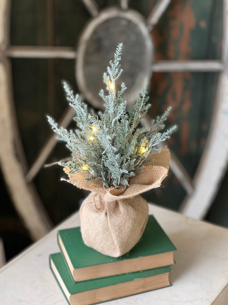 Celestial Cedar Tree w/ Lights | 12" | SOLD OUT