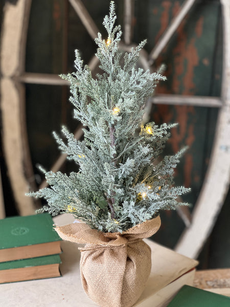 Celestial Cedar Tree w/ Lights | 18" | SOLD OUT