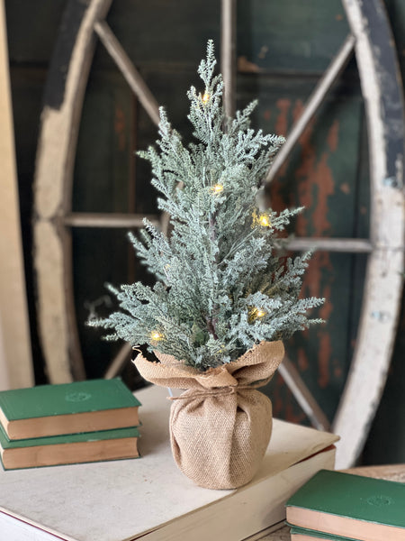 Celestial Cedar Tree w/ Lights | 18" | SOLD OUT