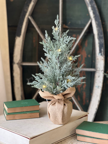 Celestial Cedar Tree w/ Lights | 18" | SOLD OUT