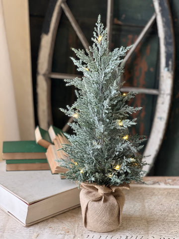 Celestial Cedar Tree w/ Lights | 24" | SOLD OUT