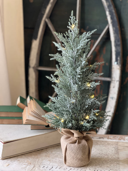 Celestial Cedar Tree w/ Lights | 24" | SOLD OUT