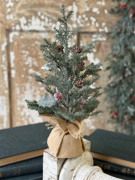 Holly Crested Fir Tree | 15" | NOT CURRENTLY IN STOCK-New For Holiday 2026!