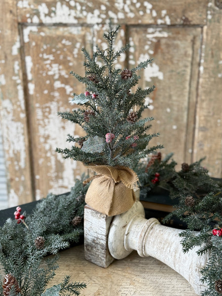 Holly Crested Fir Tree | 15" | NOT CURRENTLY IN STOCK-New For Holiday 2026!