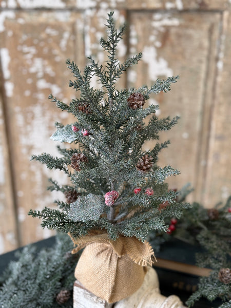 Holly Crested Fir Tree | 15" | NOT CURRENTLY IN STOCK-New For Holiday 2026!