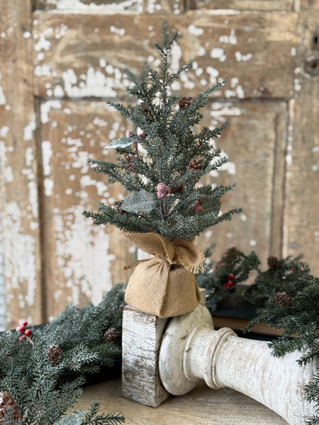 Holly Crested Fir Tree | 15" | NOT CURRENTLY IN STOCK-New For Holiday 2026!