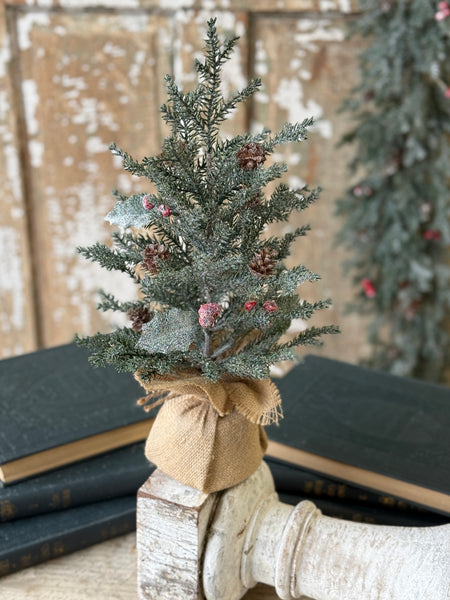 Holly Crested Fir Tree | 15" | NOT CURRENTLY IN STOCK-New For Holiday 2026!