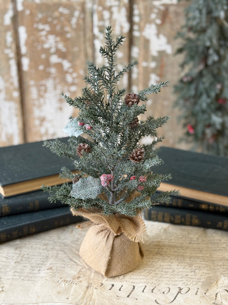 Holly Crested Fir Tree | 15" | NOT CURRENTLY IN STOCK-New For Holiday 2026!