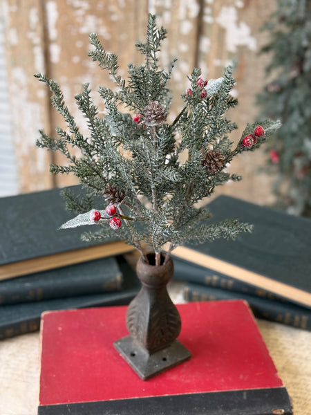 Holly Crested Fir Bush | 15" | NOT CURRENTLY IN STOCK-New For Holiday 2026!