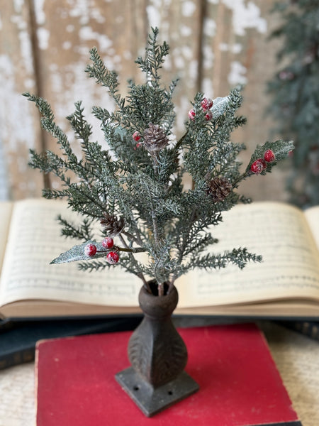 Holly Crested Fir Bush | 15" | NOT CURRENTLY IN STOCK-New For Holiday 2026!