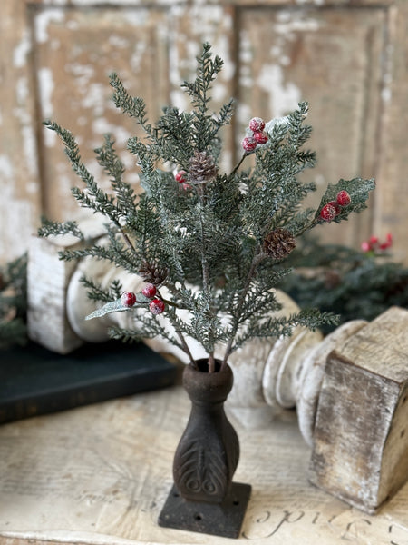 Holly Crested Fir Bush | 15" | NOT CURRENTLY IN STOCK-New For Holiday 2026!