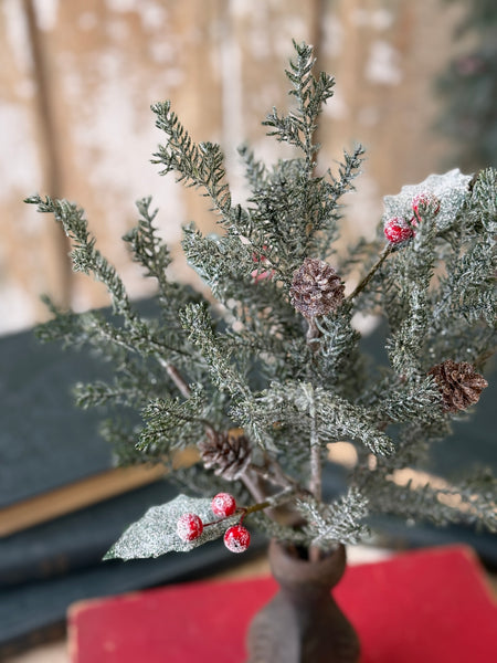 Holly Crested Fir Bush | 15" | NOT CURRENTLY IN STOCK-New For Holiday 2026!