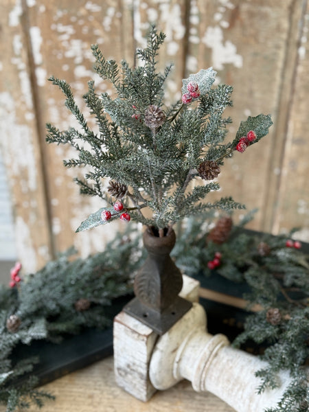 Holly Crested Fir Bush | 15" | NOT CURRENTLY IN STOCK-New For Holiday 2026!
