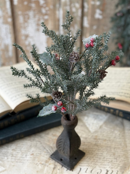 Holly Crested Fir Bush | 15" | NOT CURRENTLY IN STOCK-New For Holiday 2026!