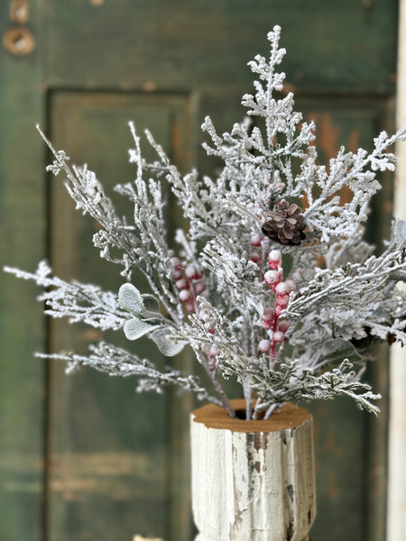 Winter Song Cedar Bush | 18" | NOT CURRENTLY IN STOCK-New For Holiday 2026!