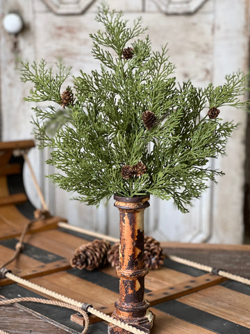 North Rim Hemlock Bush | 22" | SOLD OUT