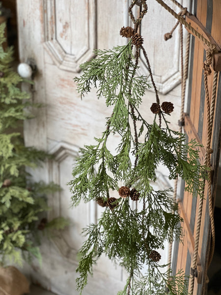 North Rim Hemlock Vine | 48" | SOLD OUT