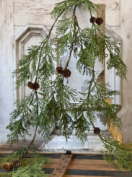North Rim Hemlock Vine | 48" | SOLD OUT