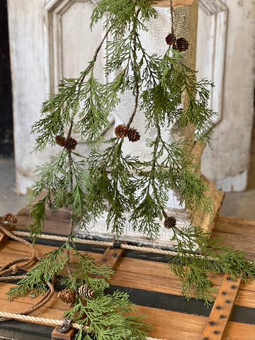 North Rim Hemlock Vine | 48" | SOLD OUT