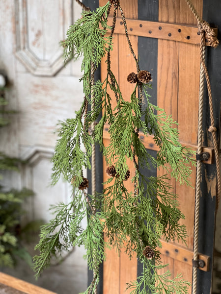 North Rim Hemlock Vine | 48" | SOLD OUT